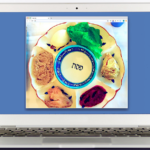 A laptop with a plate of food on the screen.