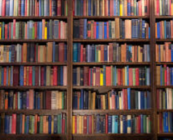 A bookshelf filled with lots of books in different colors.