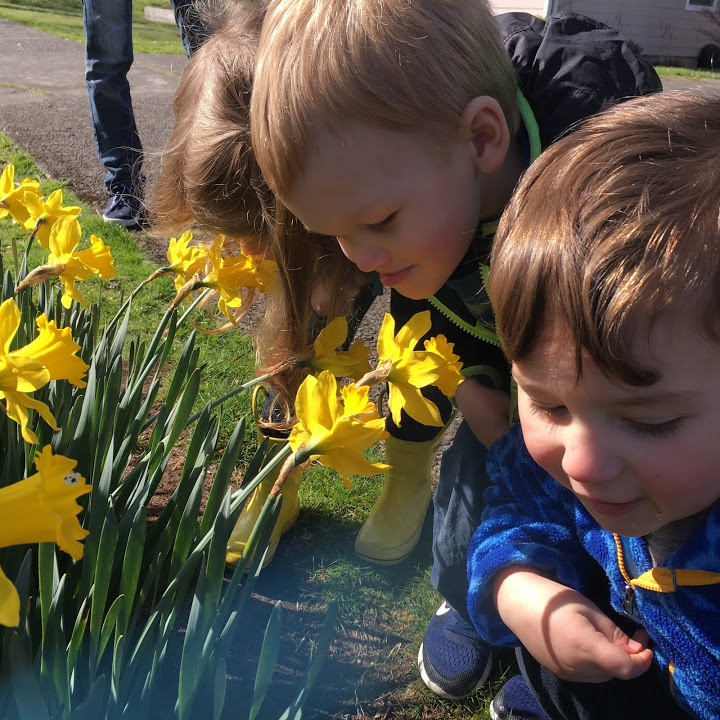 Two children looking at yellow flowers in a field.