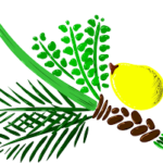 A drawing of leaves and branches with a yellow fruit.