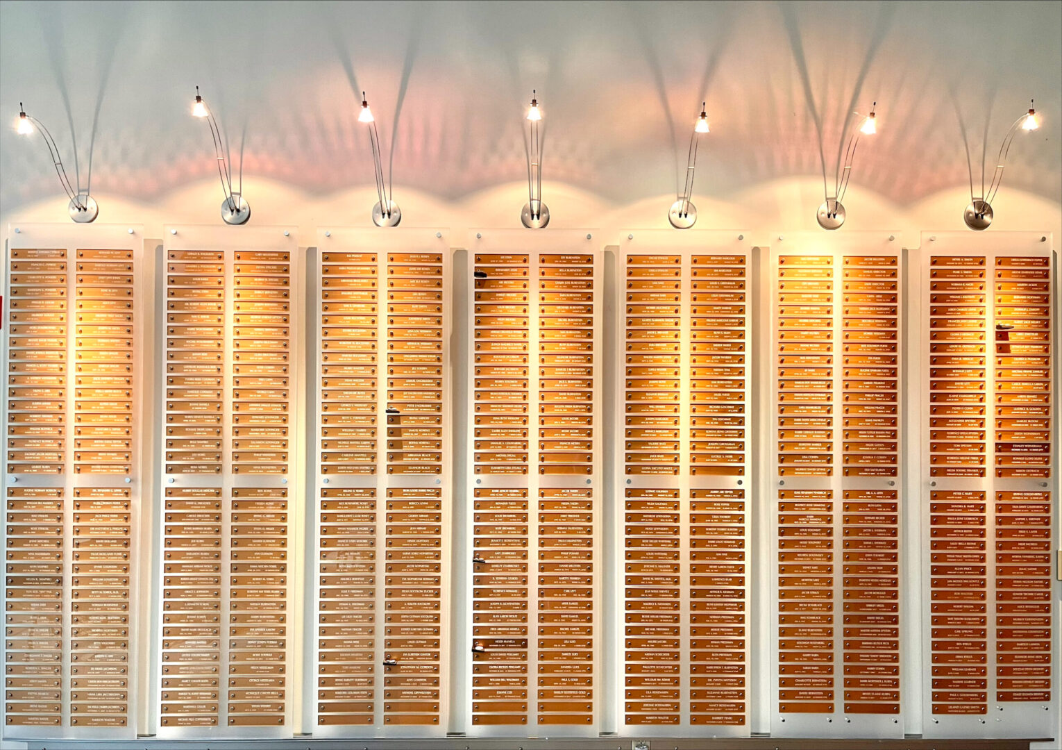 A wall of wooden shelves with lights above them.