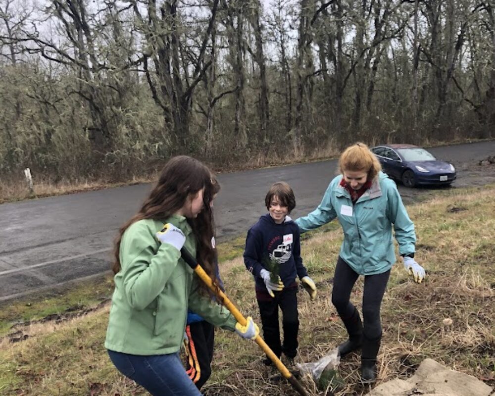 Three people digging a hole in the ground